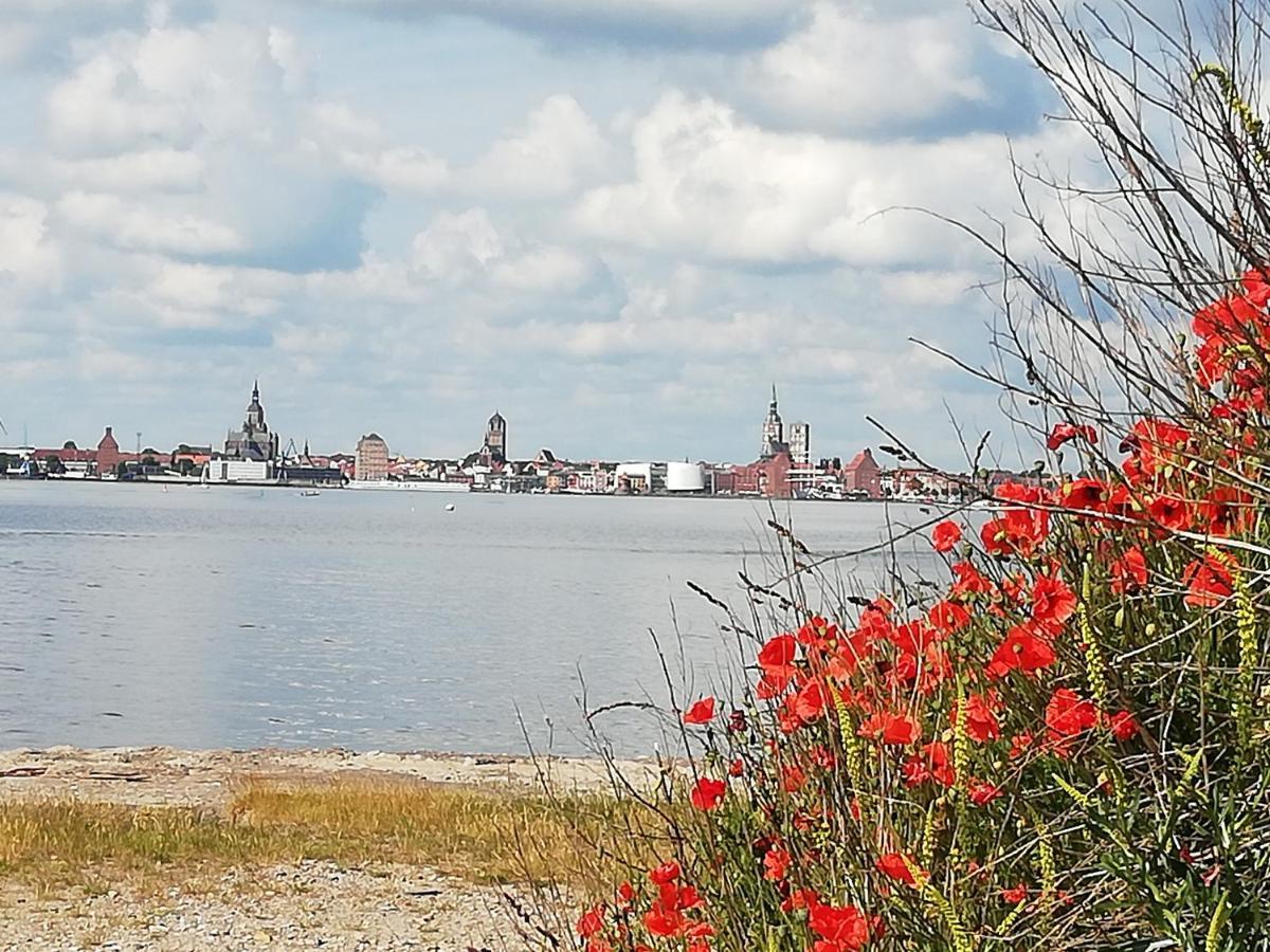 Fewo Ruegen Boettger Poseritz エクステリア 写真