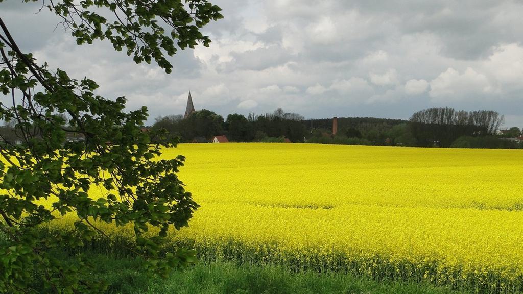 Fewo Ruegen Boettger Poseritz エクステリア 写真