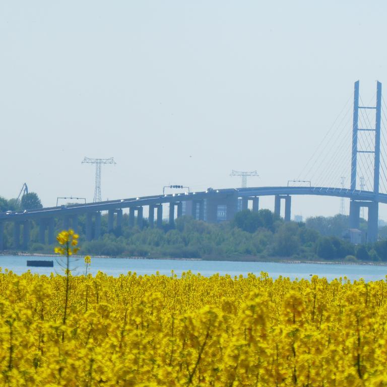 Fewo Ruegen Boettger Poseritz エクステリア 写真