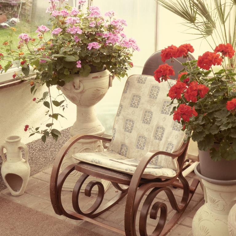 Fewo Ruegen Boettger Poseritz エクステリア 写真